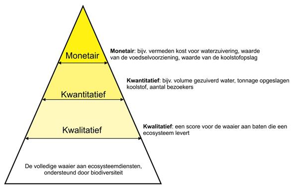 piramide.jpg